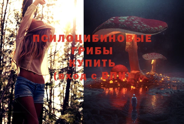 mix Белокуриха