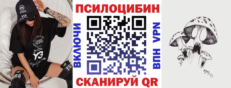 OMG ТОР  сайты даркнета как зайти  Галлюциногенные грибы ЛСД  Николаевск-на-Амуре 